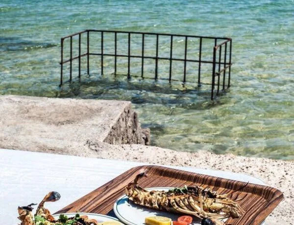 the Oyster Farm